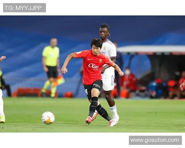 韩国足球联赛球星名单分析与赛季表现展望